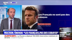 Emmanuel Macron à des ministres sur les risques de coupure: "Les Français ne sont pas des cobayes"