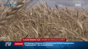 Dans le Loiret, un maire tente désespérément d'empêcher de voir fleurir des éoliennes