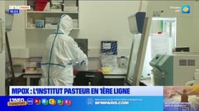Mpox: l'institut Pasteur en 1ère ligne face à son développement