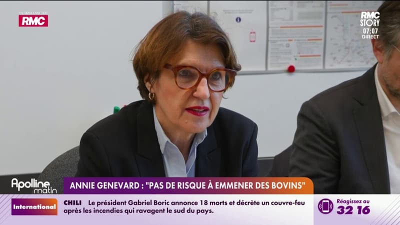 Annie Genevard : "pas de risque à emmener des bovins"