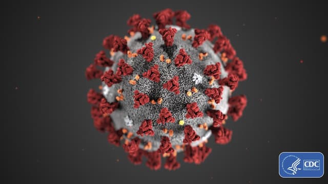 Une modélisation du coronavirus
