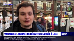 Vacances: journée de départs chargée à Lille 