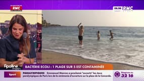 Bactérie Ecoli : 1 plage sur 6 est contaminée