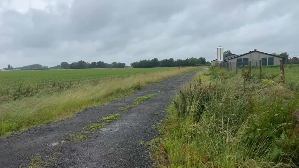 Des terres agricoles doivent être remplacées par une usine de méthanisation.