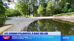 Passions Provence du samedi 21 juin 2025 - Les jardins d'Albertas, à Bouc-Bel-Air