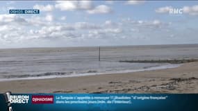 Ballots de cocaïne échoués: un homme de 27 ans arrêté avec 5 kilos trouvés sur une plage de Lacanau