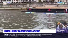 Paris: un millier de personnes ont participé à la plus grande course de paddle au monde sur la Seine ce dimanche