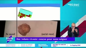 C’est quoi le progrès ? : Des "robots vivants" conçus pour nous soigner - 10/12