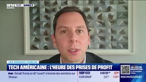 Les signaux faibles - Meta, une anomalie parmi les 7 Magnifiques ? - 07/11