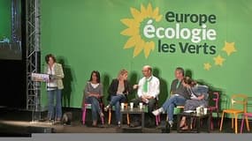 EELV se divise sur un éventuel rapprochement avec le gouvernement