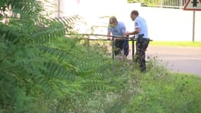 Disparition de Maëlys: "On s'est dit qu'elle était peut-être partie se promener"