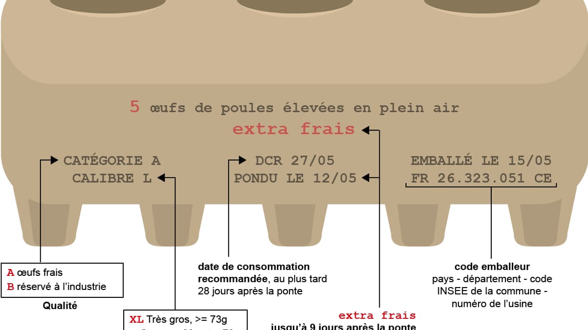 infographie emballage œuf infographie emballage œuf