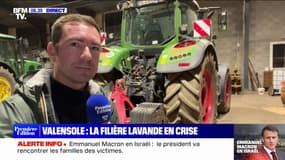 Valensole: la filière lavande en crise