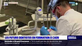 Caen: une nouvelle formation pour les dentistes