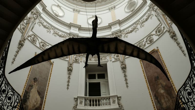 Une réplique de ptérosaure au Musée des sciences de la Terre de Rio de Janeiro en octobre 2016 (photo d'illustration)