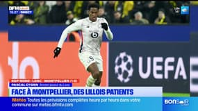 Ligue des champions: le Losc doit réaliser une nouvelle grosse performance contre Dortmund