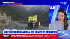 Feux dans la Roya : 4 incendies et 100 pompiers mobilisés dans la vallée