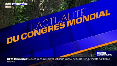 Congrès mondial de la Nature: un coiffeur varois transforme les cheveux en pièges à hydrocarbures