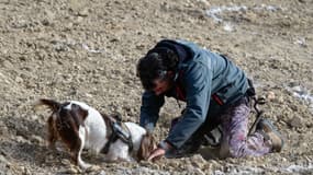 Un homme et son chien participant à un concours de recherche de truffes à Sarrion dans la province de Teruel en Espagne, le 10 décembre 2023 