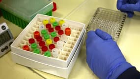 Un scientifique effectue un test clinique dans le laboratoire d'immunologie d'UW Medicine à la recherche d'anticorps contre le SRAS-CoV-2, le 17 avril 2020 à Seattle.