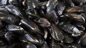 Des moules (photo d'illustration)