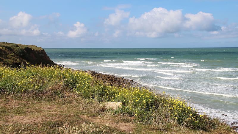 Le site préhistorique de la Pointe aux Oies à Wimereux (image d'illustration)