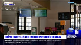 Côte d'Azur: la circulation des TER perturbée ce mardi