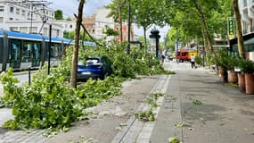 Des dégâts causés par les orages à Paris, le 26 juin 2025