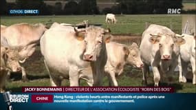 "C'est une opération qui va durer plusieurs dizaines d'années", le gouvernement va s'attaquer à la "maladie des prairies"
