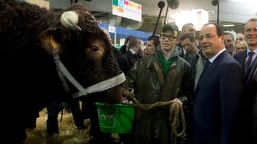 François Hollande au Salon de l'agriculture en février 2014.