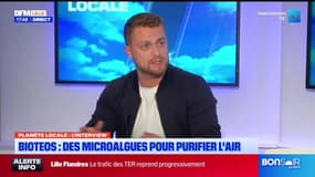 Planète Locale du mercredi 9 octobre - Bioteos : des microalgues pour purifier l'air