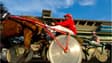 Driver de trot attelé