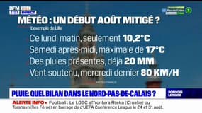 Pluie: quel bilan dans le Nord-Pas-de-Calais début août?