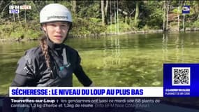 Alpes-Maritimes: face à la sécheresse, le niveau du loup est au plus bas