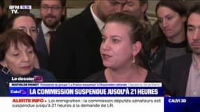 Mathilde Panot (LFI) sur la suspension de la commission mixte paritaire: "On assiste véritablement à une mascarade"