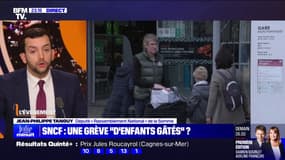 Grève à la SNCF: Jean-Philippe Tanguy (RN) trouve "regrettable" que le mouvement "bloque les Français qui veulent aller travailler ou voir leur famille"