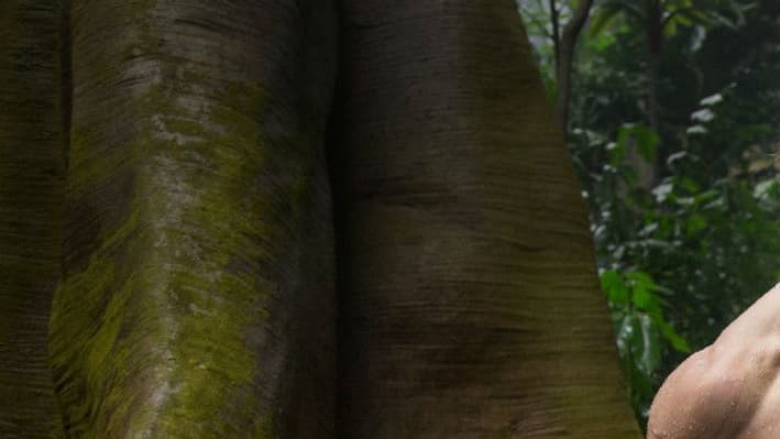 "Tarzan" avec Alexander Skarsgard et Margot Robbie en salles le 6 juillet 2016 "Tarzan" avec Alexander Skarsgard et Margot Robbie en salles le 6 juillet 2016