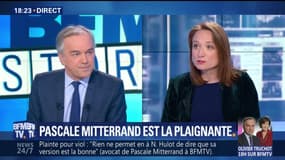 Nicolas Hulot: Pascale Mitterrand est la plaignante (1/2)