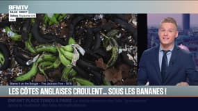 Le break du mercredi 10 décembre 