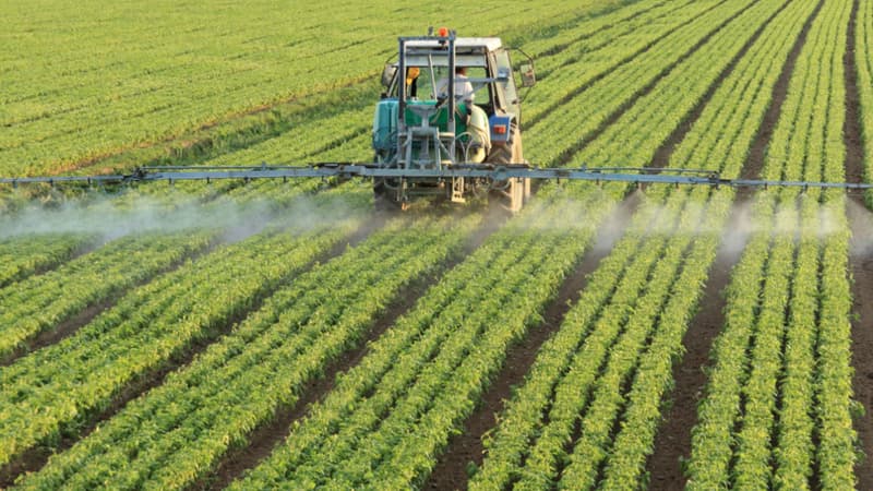 Image d'illustration d'un tracteur épandant des pesticides