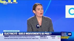 Électricité: "L'objectif du gouvernement, c'est de pouvoir faire baisser la facture des Français"