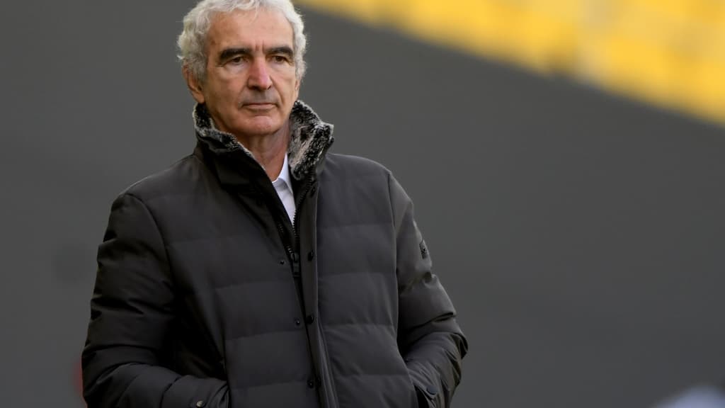 Raymond Domenech Raymond Domenech
