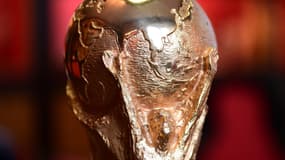 Trophée de la Coupe du monde de football