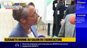 Collège privé à Dax  : "Nous n'avons pas trouvé de signalement, pour l'instant" affirme la ministre de l'Éducation, Élisabeth Borne, qui annonce "un contrôle" sur cet établissement