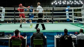Un tournoi de boxe amateur à Rio (Brésil) en décembre 2015