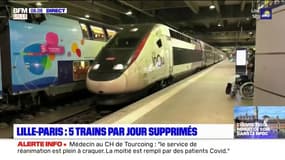 "L'excuse du Covid n'est pas acceptable": grogne dans le Nord après la suppression 5 TGV Lille-Paris 