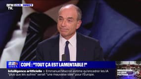 Jean-François Copé sur le rejet de la loi immigration: "Tout ça est lamentable !" - 11/12