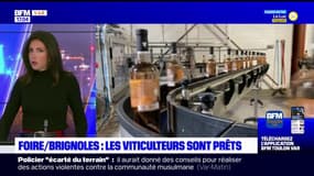 Var: les viticulteurs prêts pour la foire de Brignoles