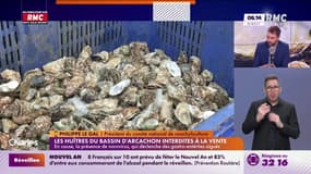 Les huîtres du bassin d'Arcachon interdites à la vente