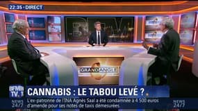 Cannabis: Jean-Marie Le Guen relance le débat sur la dépénalisation (2/3)